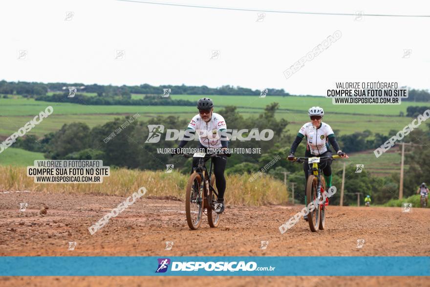 1ª EDIÇÃO DESAFIO ABELHA GRANDE - XCM