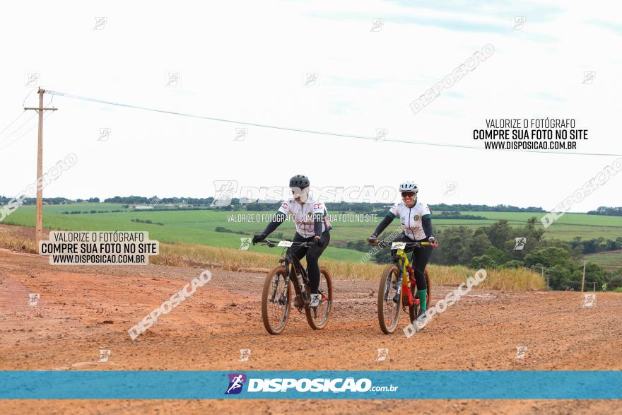 1ª EDIÇÃO DESAFIO ABELHA GRANDE - XCM