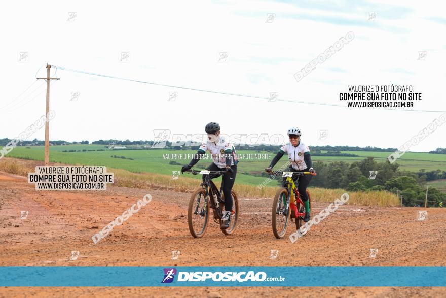 1ª EDIÇÃO DESAFIO ABELHA GRANDE - XCM