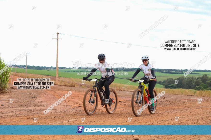 1ª EDIÇÃO DESAFIO ABELHA GRANDE - XCM