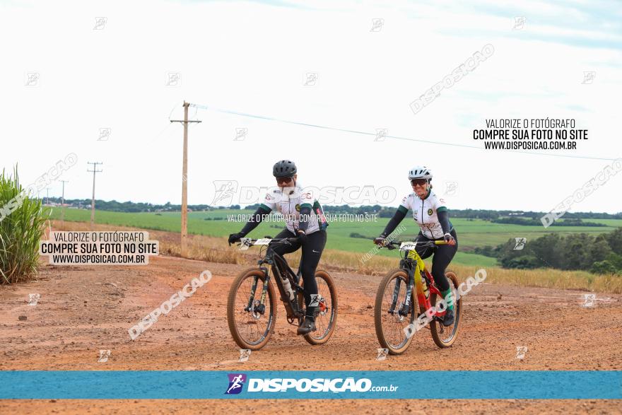 1ª EDIÇÃO DESAFIO ABELHA GRANDE - XCM