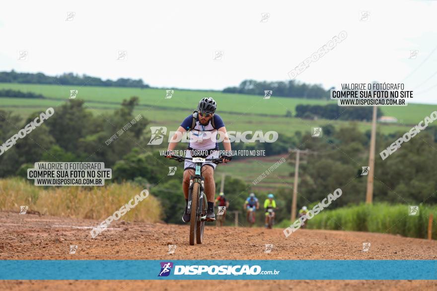 1ª EDIÇÃO DESAFIO ABELHA GRANDE - XCM