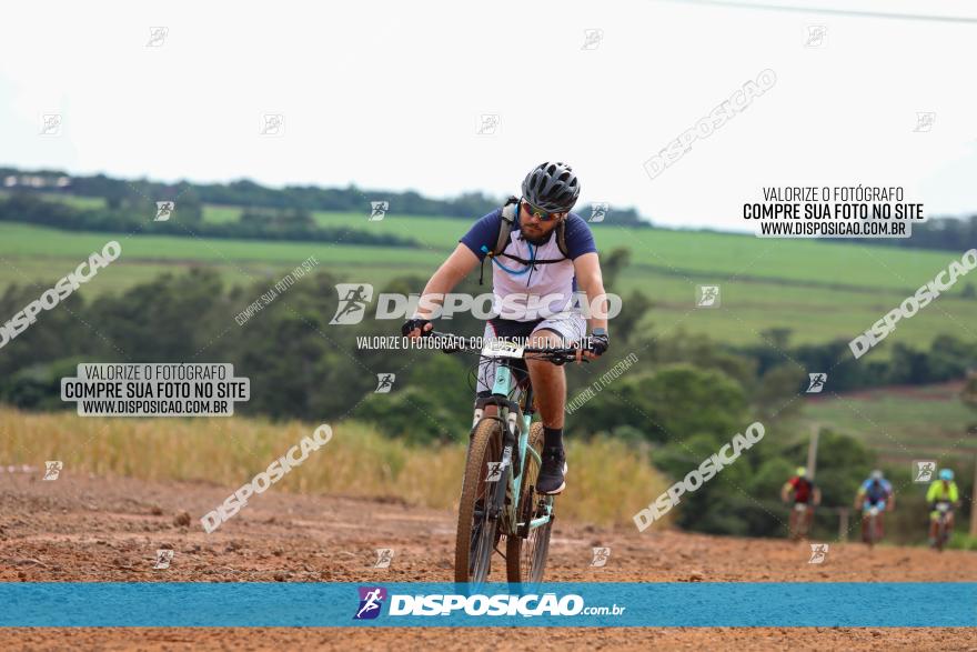 1ª EDIÇÃO DESAFIO ABELHA GRANDE - XCM