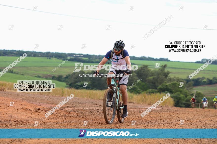 1ª EDIÇÃO DESAFIO ABELHA GRANDE - XCM