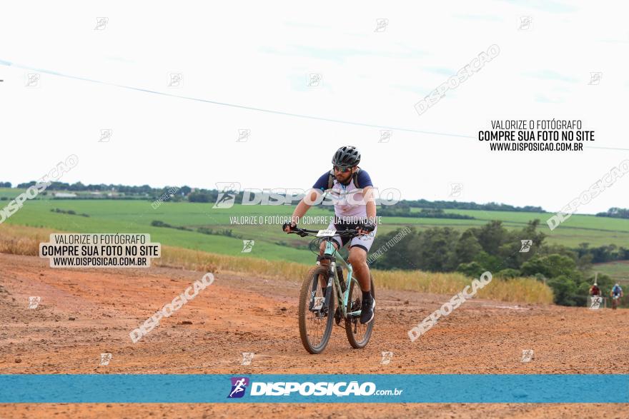 1ª EDIÇÃO DESAFIO ABELHA GRANDE - XCM