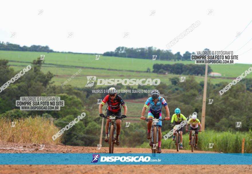 1ª EDIÇÃO DESAFIO ABELHA GRANDE - XCM