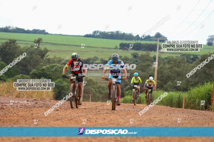 1ª EDIÇÃO DESAFIO ABELHA GRANDE - XCM