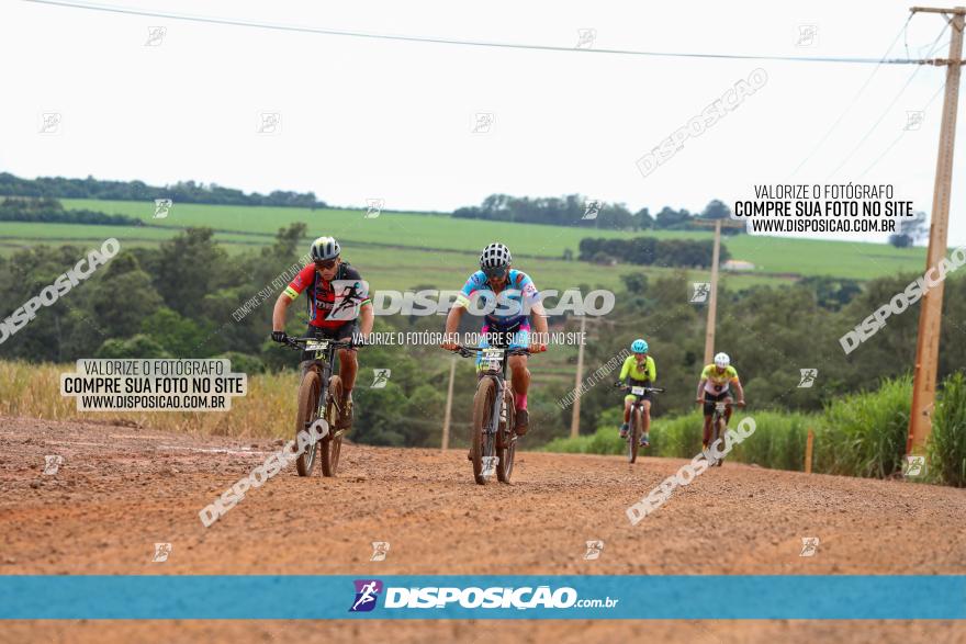 1ª EDIÇÃO DESAFIO ABELHA GRANDE - XCM