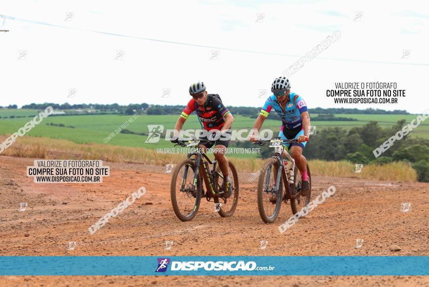 1ª EDIÇÃO DESAFIO ABELHA GRANDE - XCM