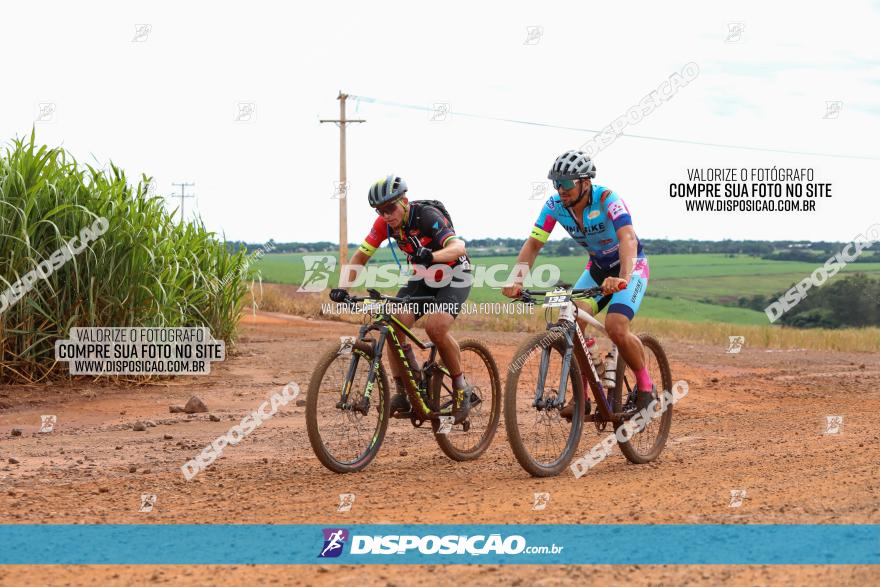 1ª EDIÇÃO DESAFIO ABELHA GRANDE - XCM