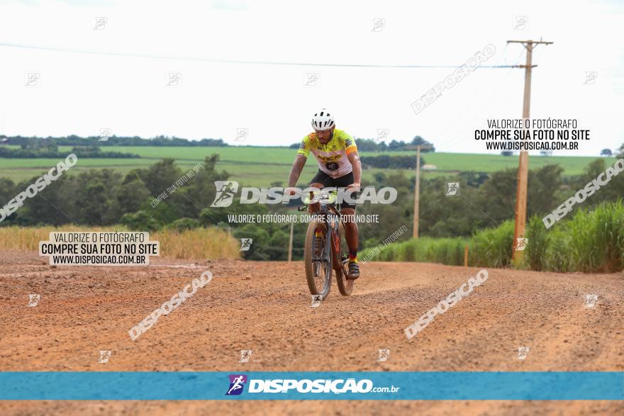 1ª EDIÇÃO DESAFIO ABELHA GRANDE - XCM