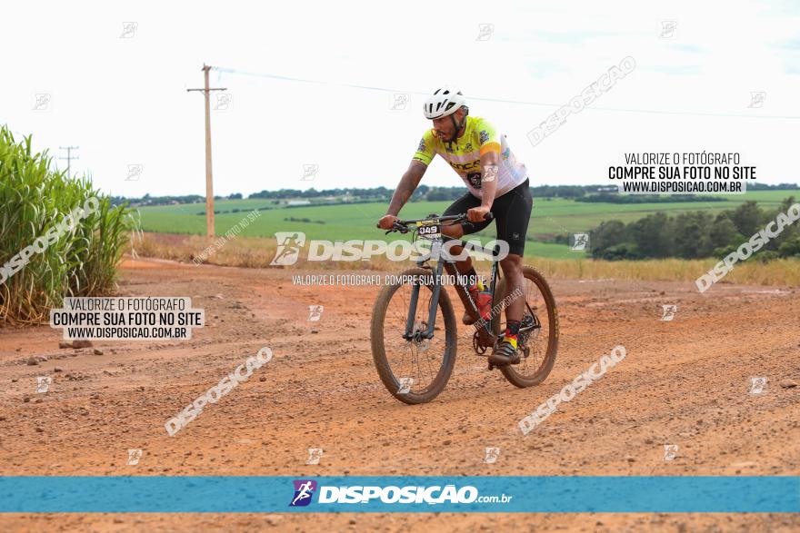 1ª EDIÇÃO DESAFIO ABELHA GRANDE - XCM