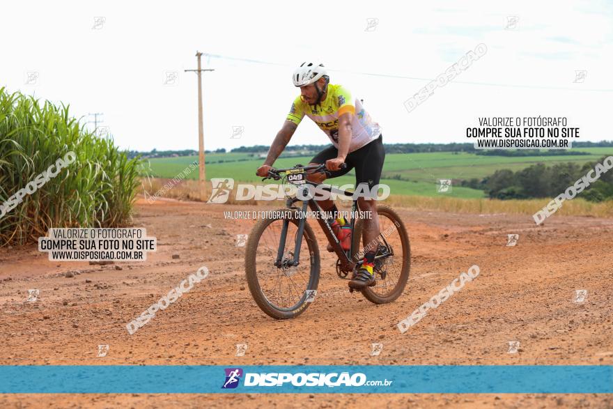 1ª EDIÇÃO DESAFIO ABELHA GRANDE - XCM