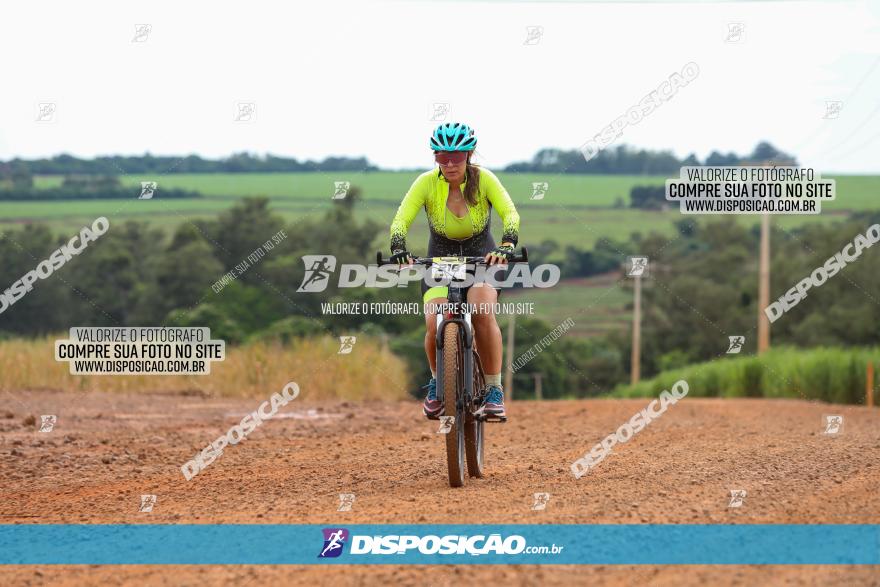 1ª EDIÇÃO DESAFIO ABELHA GRANDE - XCM