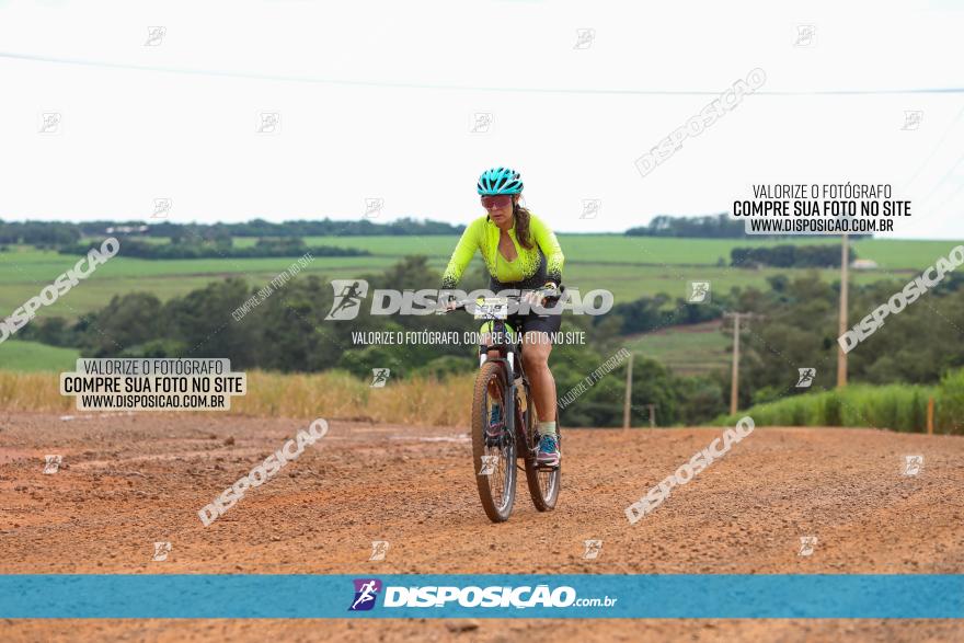 1ª EDIÇÃO DESAFIO ABELHA GRANDE - XCM