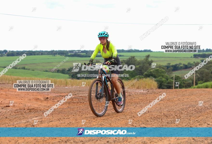 1ª EDIÇÃO DESAFIO ABELHA GRANDE - XCM