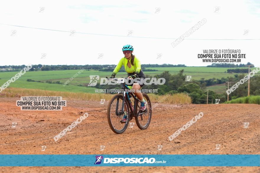 1ª EDIÇÃO DESAFIO ABELHA GRANDE - XCM