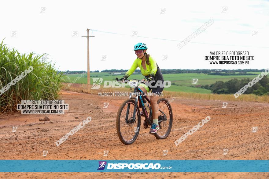 1ª EDIÇÃO DESAFIO ABELHA GRANDE - XCM