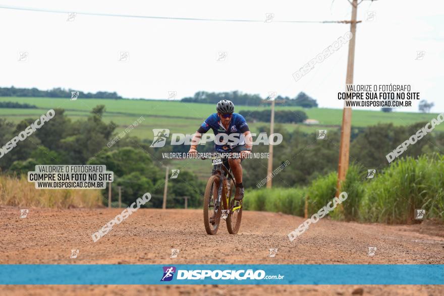 1ª EDIÇÃO DESAFIO ABELHA GRANDE - XCM