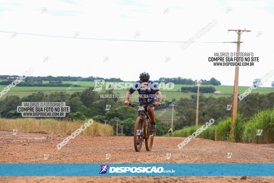 1ª EDIÇÃO DESAFIO ABELHA GRANDE - XCM