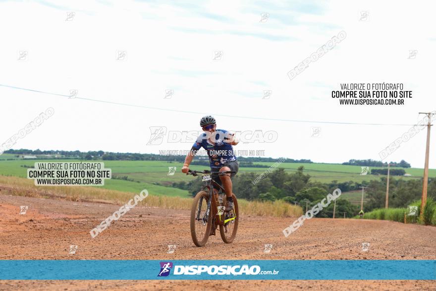 1ª EDIÇÃO DESAFIO ABELHA GRANDE - XCM