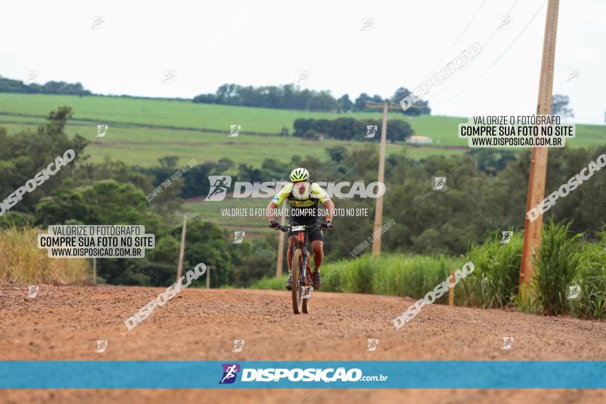 1ª EDIÇÃO DESAFIO ABELHA GRANDE - XCM