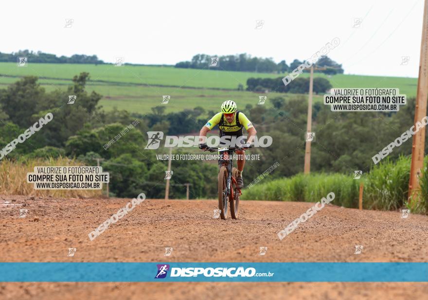 1ª EDIÇÃO DESAFIO ABELHA GRANDE - XCM