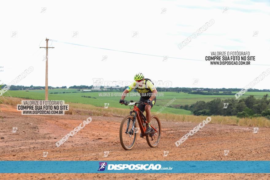 1ª EDIÇÃO DESAFIO ABELHA GRANDE - XCM