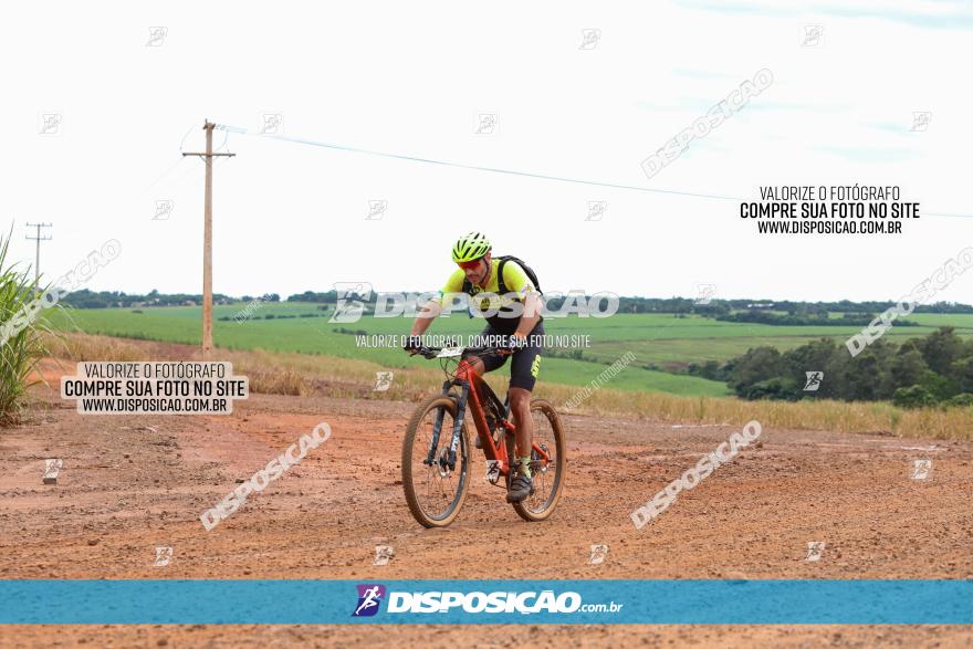 1ª EDIÇÃO DESAFIO ABELHA GRANDE - XCM