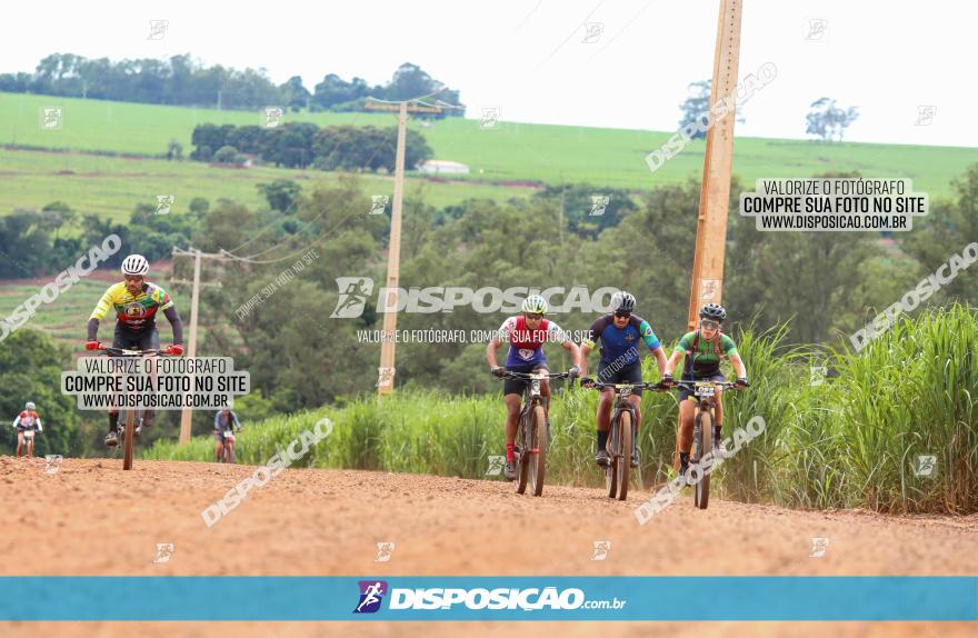 1ª EDIÇÃO DESAFIO ABELHA GRANDE - XCM