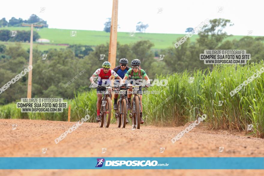 1ª EDIÇÃO DESAFIO ABELHA GRANDE - XCM