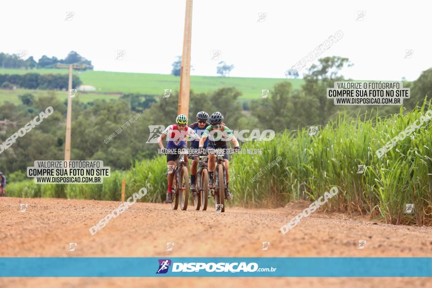 1ª EDIÇÃO DESAFIO ABELHA GRANDE - XCM