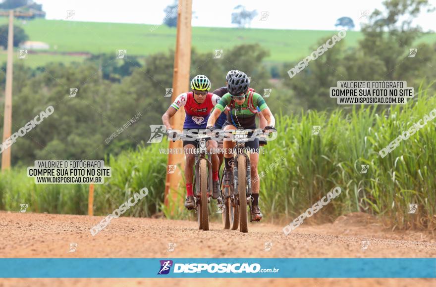 1ª EDIÇÃO DESAFIO ABELHA GRANDE - XCM