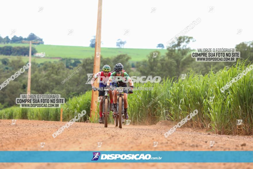 1ª EDIÇÃO DESAFIO ABELHA GRANDE - XCM