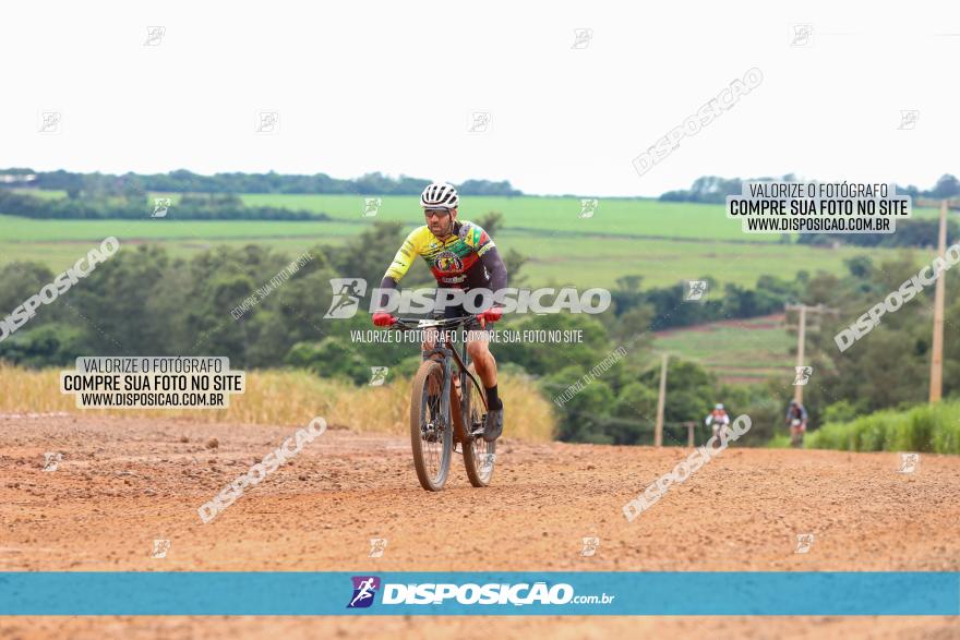 1ª EDIÇÃO DESAFIO ABELHA GRANDE - XCM