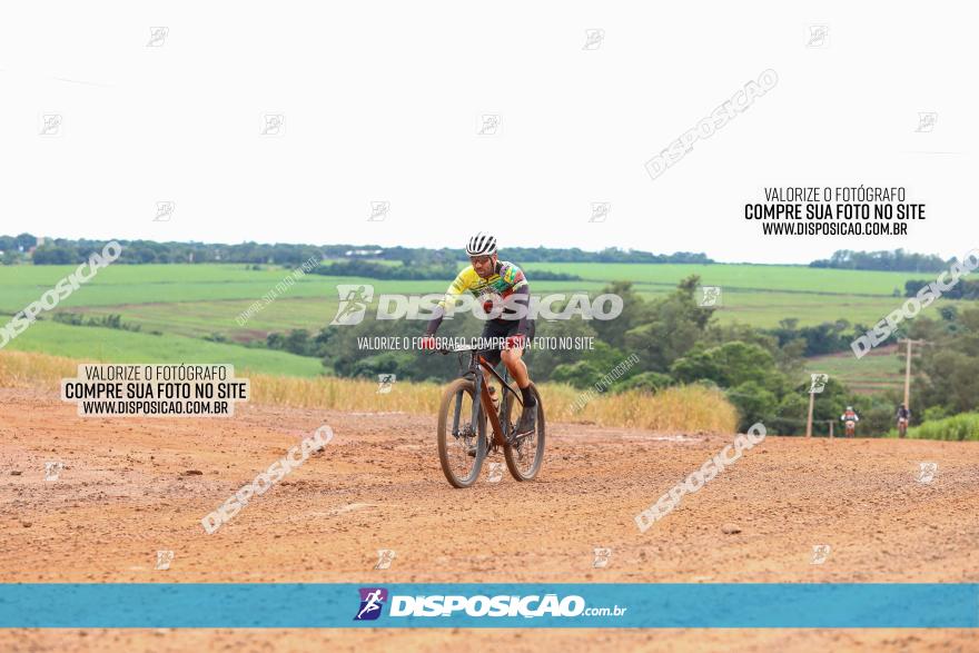 1ª EDIÇÃO DESAFIO ABELHA GRANDE - XCM