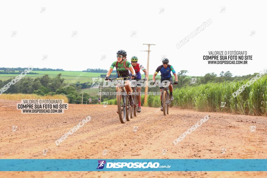 1ª EDIÇÃO DESAFIO ABELHA GRANDE - XCM