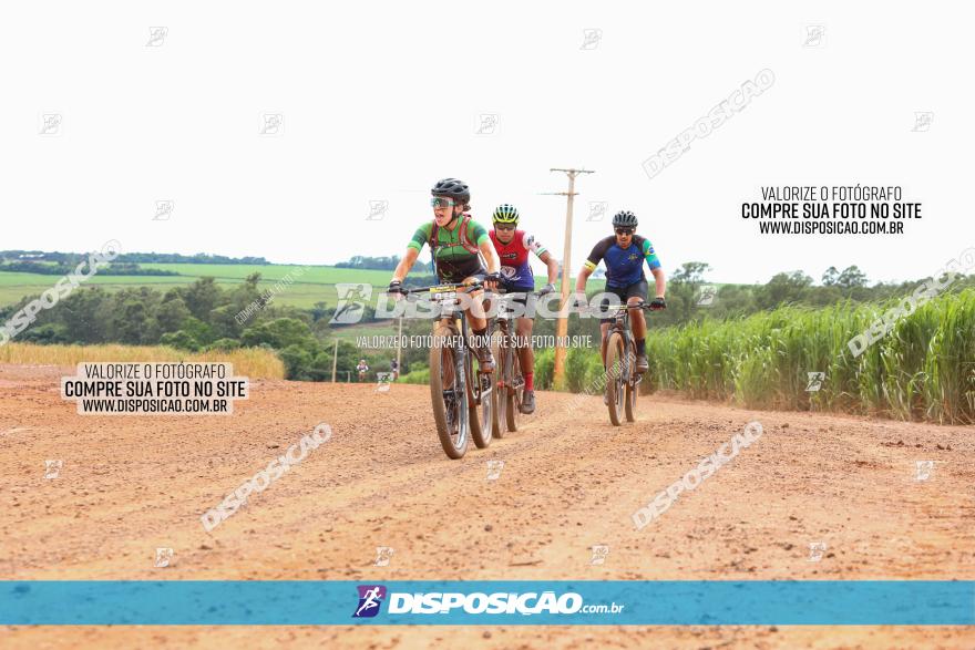 1ª EDIÇÃO DESAFIO ABELHA GRANDE - XCM