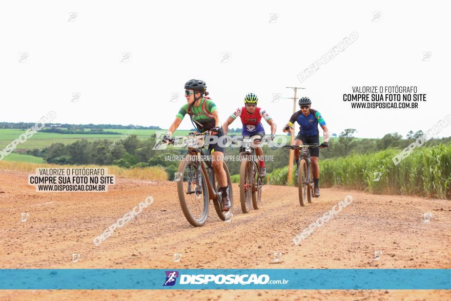 1ª EDIÇÃO DESAFIO ABELHA GRANDE - XCM