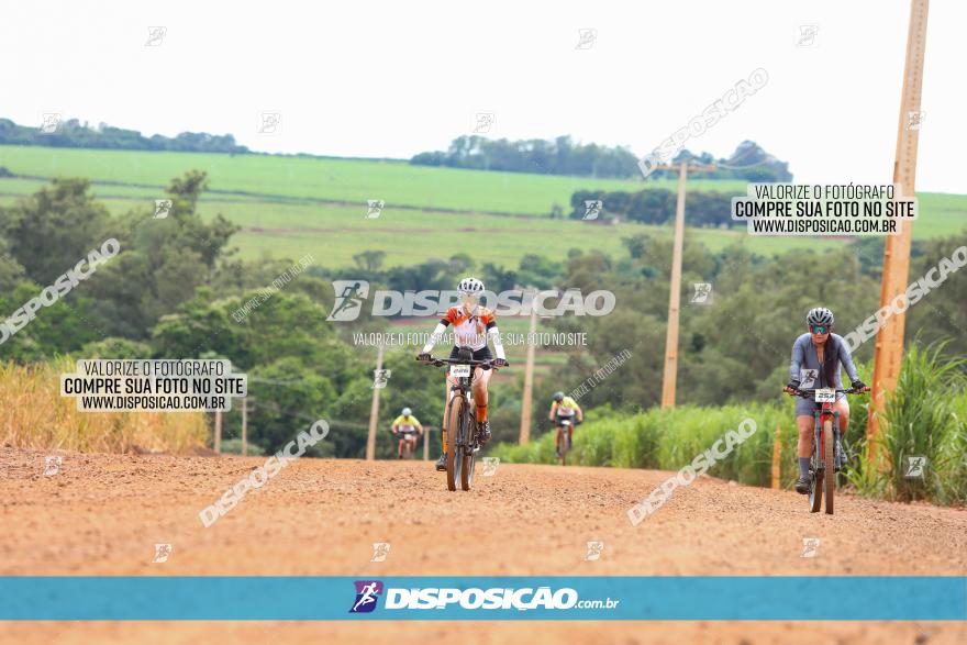 1ª EDIÇÃO DESAFIO ABELHA GRANDE - XCM