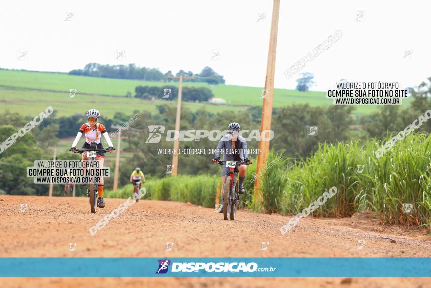 1ª EDIÇÃO DESAFIO ABELHA GRANDE - XCM