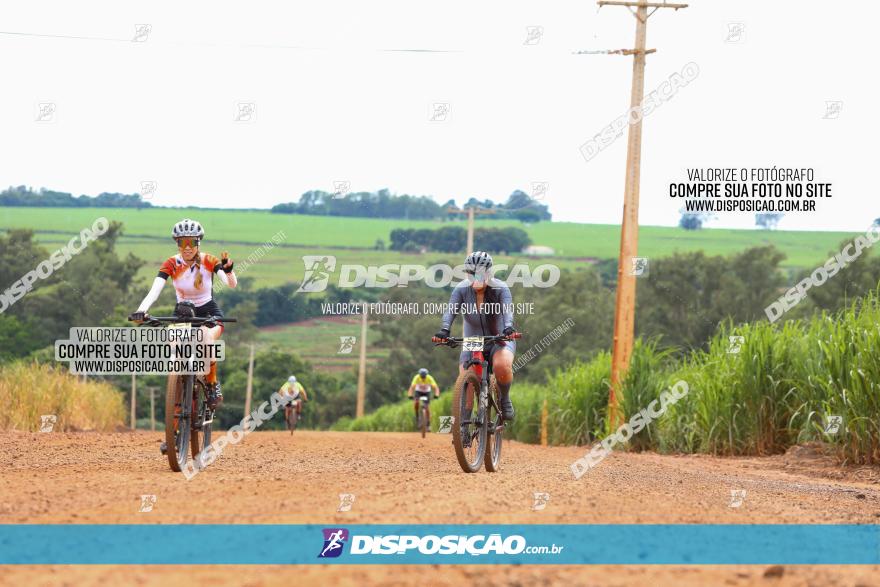 1ª EDIÇÃO DESAFIO ABELHA GRANDE - XCM