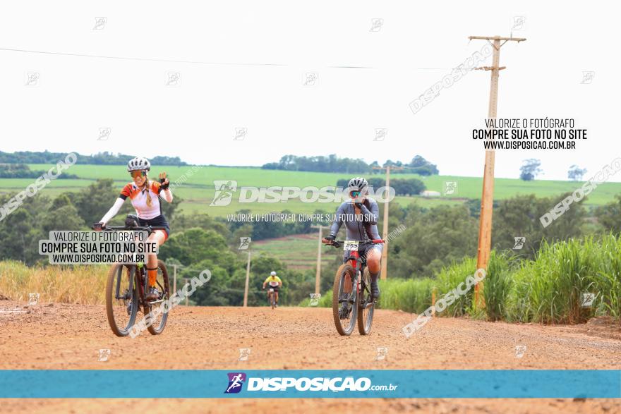 1ª EDIÇÃO DESAFIO ABELHA GRANDE - XCM