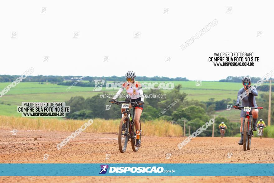 1ª EDIÇÃO DESAFIO ABELHA GRANDE - XCM