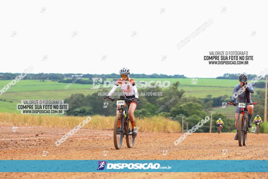 1ª EDIÇÃO DESAFIO ABELHA GRANDE - XCM