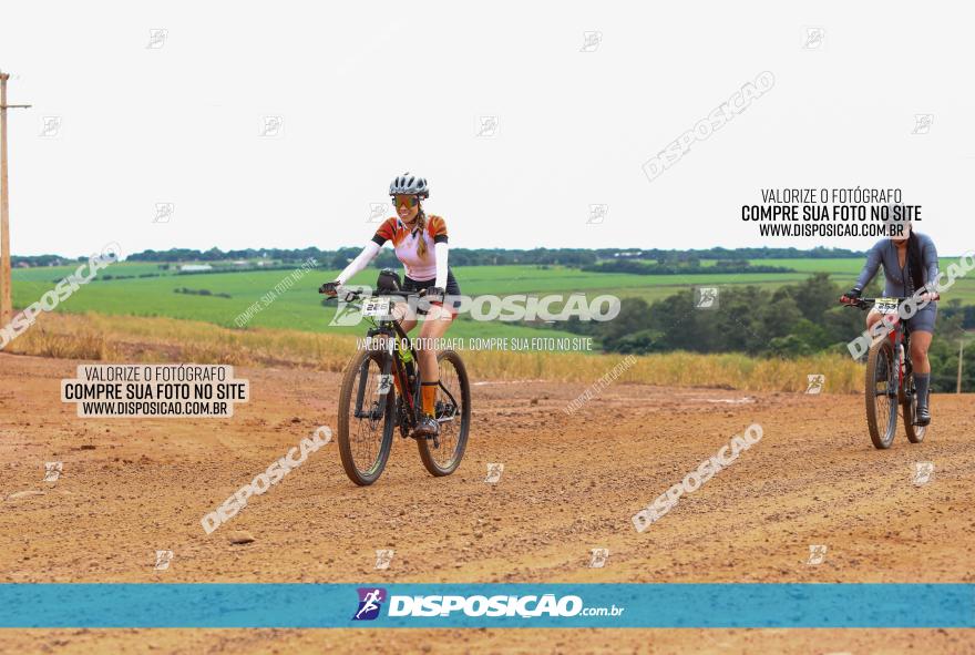 1ª EDIÇÃO DESAFIO ABELHA GRANDE - XCM