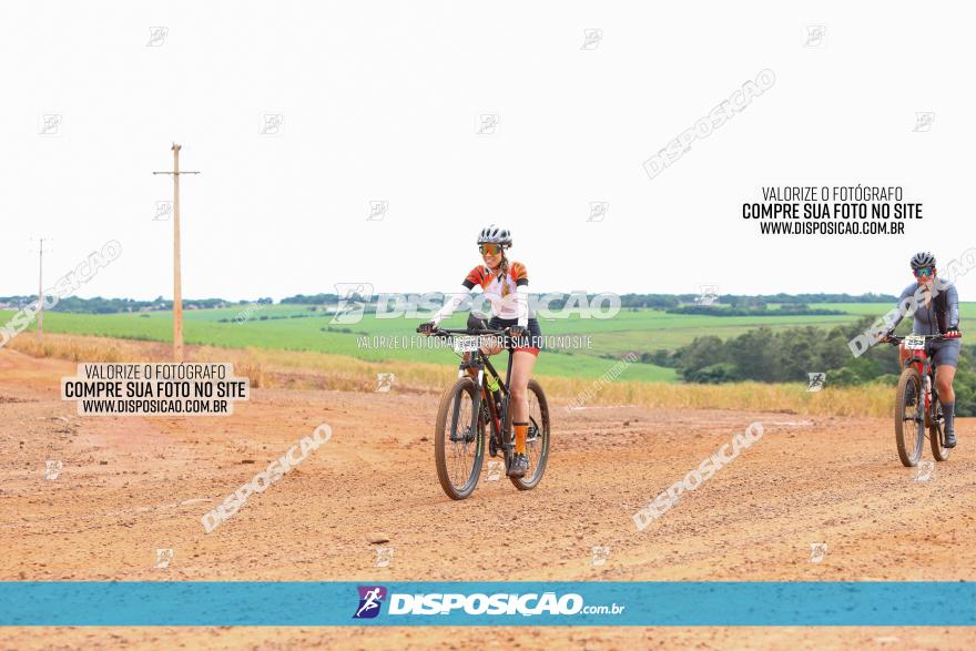 1ª EDIÇÃO DESAFIO ABELHA GRANDE - XCM