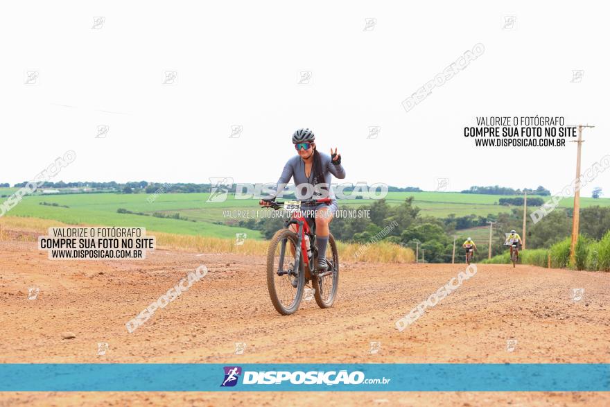 1ª EDIÇÃO DESAFIO ABELHA GRANDE - XCM