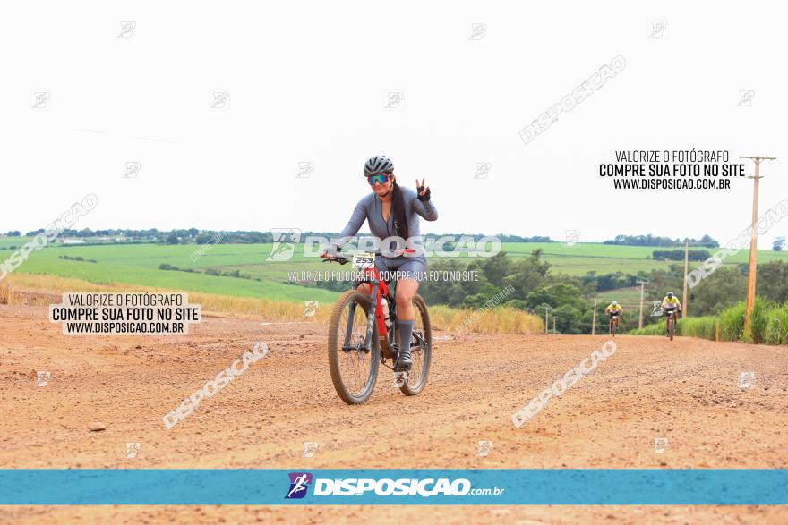 1ª EDIÇÃO DESAFIO ABELHA GRANDE - XCM