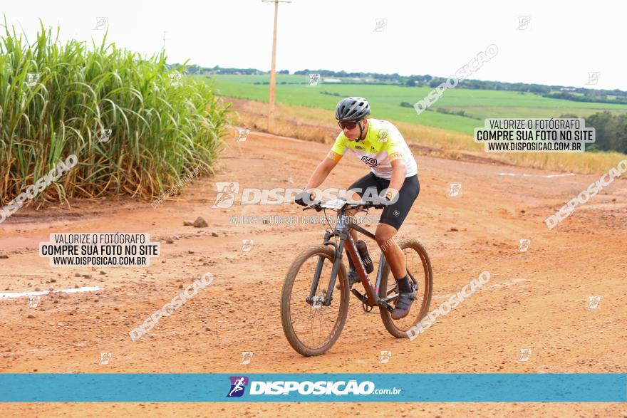 1ª EDIÇÃO DESAFIO ABELHA GRANDE - XCM